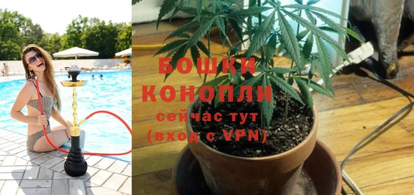 тгк Карпинск