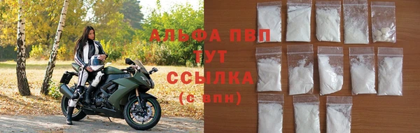 СК Касимов