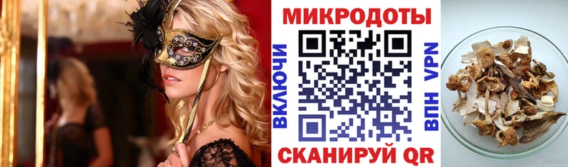 Галлюциногенные грибы Cubensis Дмитровск