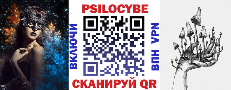 Купить закладки  Дмитровск  Псилоцибиновые грибы Magic Shrooms 